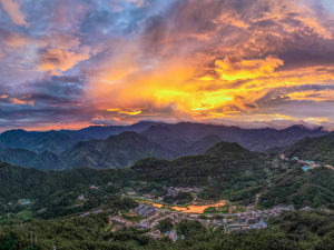 �����͹�