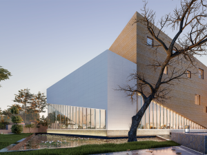 NEO Gaia������