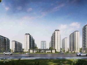 �ú���ï��ͼƬ