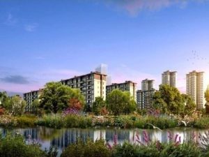 �ٺӸ��ƴ��̣��˾Ӱ���ͥ�۸��Ƕ��٣�