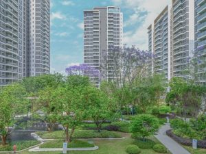 �����ܰ�ͼƬ