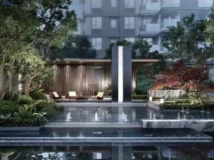 ��Ͷ�õ��mͥ����ͼƬ