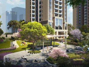 �����íZͼƬ