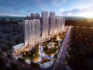 �ĺ�������԰ͼƬ