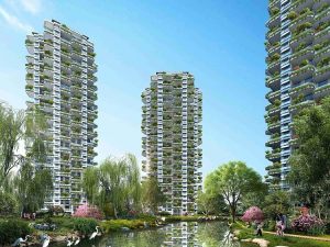 �����츮����ͼƬ