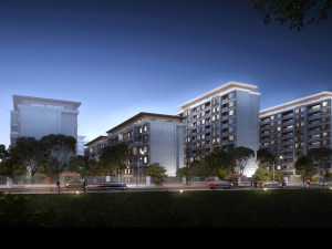 ���������ŵ�����ͼƬ