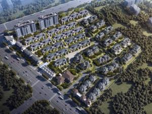 ���ŷ���̨ͼƬ