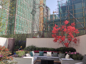 ���ŷ���̨ͼƬ