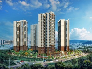 ����˺Ź���