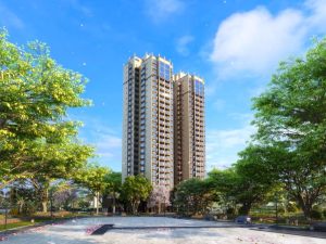 �黪�����