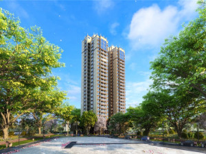 �軪�����