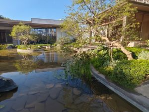 ������������ͼƬ