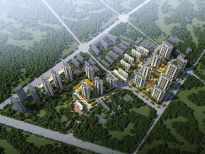 �ں͡��º�ҼƷ