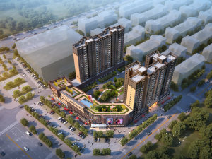 ɳ���ɭ������