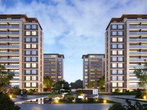 ����.ӡ����