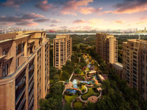 �ƽ�����