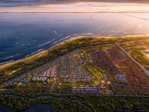 ��̲����������