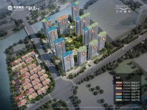 ����ӡ�и�