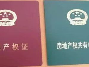 房產證為什么要分為綠色和紅色