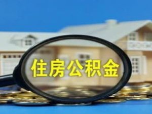 社保包括公積金嗎