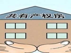 二手房產權共有什么意思