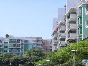新房辦完網簽下一步是什么