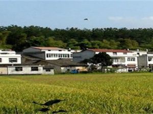 土地掛牌和拍賣的區(qū)別