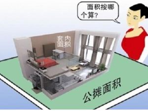 使用面積是什么意思？