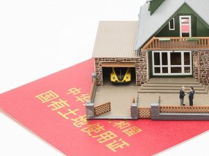 土地證有幾種性質(zhì)？