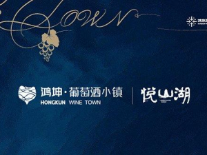 鴻坤悅山湖售樓處位置在哪，項目屬于什么地