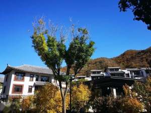 永恒長城里特惠活動(dòng)電梯房原價(jià) 125萬 99平
