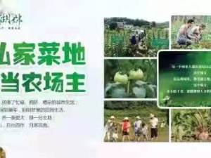上湖郡精裝洋房-現(xiàn)房【價格變更】-詳情介紹