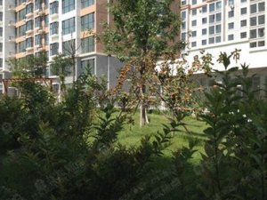 懷來御泉公館售樓處-預約看房電話