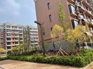 京北香榭府小區綠化怎么樣