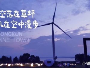 官廳湖畔@鴻坤葡萄酒小鎮售樓處咨詢電話！