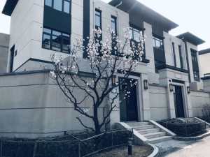 懷來永恒長(zhǎng)城里精裝修疊拼別墅多少錢？
