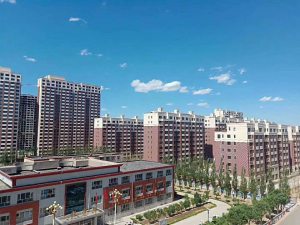 東花園上湖郡洋房帶精裝修嗎？送家具嗎？