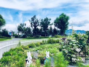 鴻坤悅山湖70年現房別墅成交價130-150萬