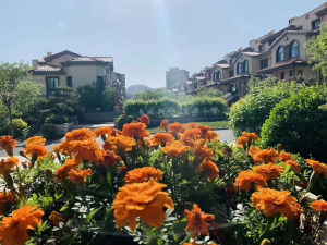 鴻翡翠城95平兩居洋房-均價8000/米-已認證