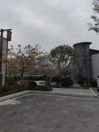建发望湖对口学校，学区确定了吗?-建发望湖楼盘-武汉购房网