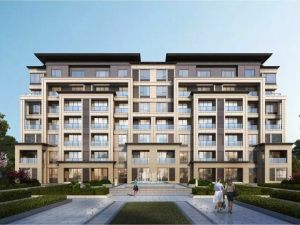 ���𾰱���������