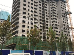 ��Ͷ����ͼƬ