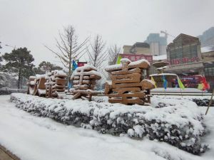 ������_ͼƬ