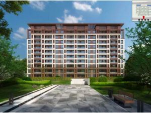 ����-��ϲ��Է